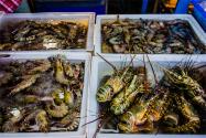 2023养小龙虾利润有多高？注意事项有哪些？