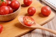 番茄常见病虫害有哪些?如何防治番茄常见病虫害?