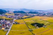 2023年宅基地被别人占用怎么要回来？如何办理手续？