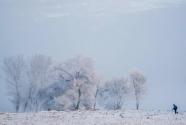 小雪當(dāng)天吃什么飯最好？小雪吃餃子寓意是什么？