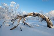 大雪小雪煮飯不息什么意思？大雪節(jié)氣不上凍明年會怎么樣？