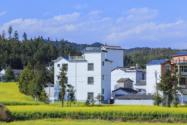 2024年农村一户有2处宅基地怎么办？四种情况一户多宅合法！