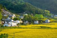 农村宅基地新政策2024规定面积是多少？农村宅基地新政策超出面积怎么办？