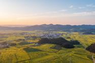 2024年曲靖市征收农用地区片综合地价标准：征收土地怎么补偿？