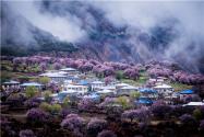 2024年西藏农村建房最新规定：农牧民一户只能拥有一处宅基地！