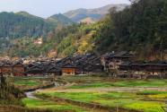2024年云南省曲靖市麒麟区耕地地力保护补贴政策：一亩地补助多少钱？