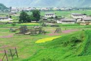 2024年山东潍坊寒亭区农村宅基地自愿退出补偿多少钱？怎么退出？