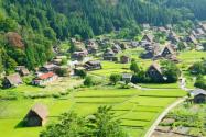2024年重庆市潼南区农村集体经营性建设用地入市方式有哪些？怎么入市？