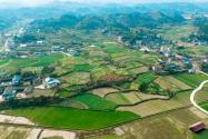 2024年广西钦州市钦北区耕地地力保护补贴新政：每亩具体补贴多少钱？