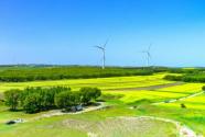 2024年云南曲靖市罗平县耕地地力保护补贴最新政策：每亩补贴多少钱？