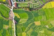 2024年广西梧州市长洲区耕地地力保护补贴最新政策：每亩补贴多少钱？