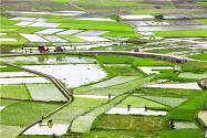 2024贵州省继续实施耕地地力保护补贴和大豆、油菜种植补贴政策