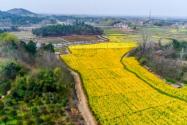 2024年宁夏固原彭阳县耕地地力保护补贴最新政策：每亩补助多少钱？