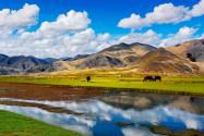 2024年西藏惠民惠农补贴政策清单：共25项补贴！