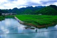 2024年浙江绍兴上虞区下管镇农业补助政策：粮油复种补贴多少？