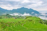 2024年浙江绍兴上虞区丁宅乡农业补助政策：规模种粮补贴多少？