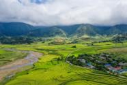2024年江西南昌东湖区耕地地力保护补贴政策：补助标准是多少？