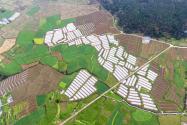 2024年陕西西安周至县征地区片综合地价标准：耕地怎么补偿？