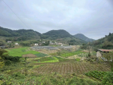 重慶果園、魚塘、大棚基地出租或合作！