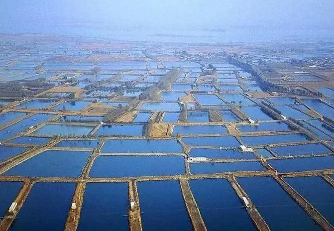 2025年夏季水产养殖技术指引