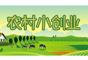 2025年农村创业可做项目
