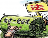 2025年农村集体土地征收相关政策