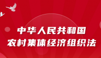 农村集体经济组织法发布施行！