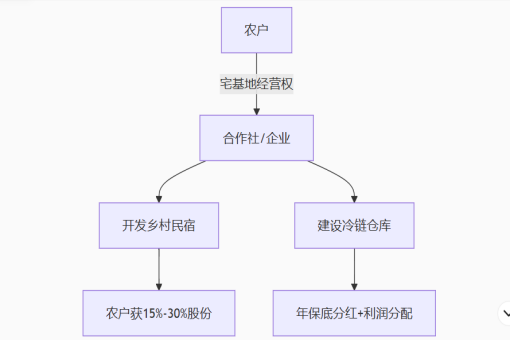 农村宅基地新政紧急提醒：闲置超2年将被收回！3种合法变现方式抓紧操作