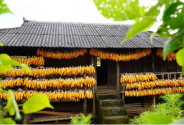 農(nóng)村閑置的老屋怎樣改造成鄉(xiāng)村民宿