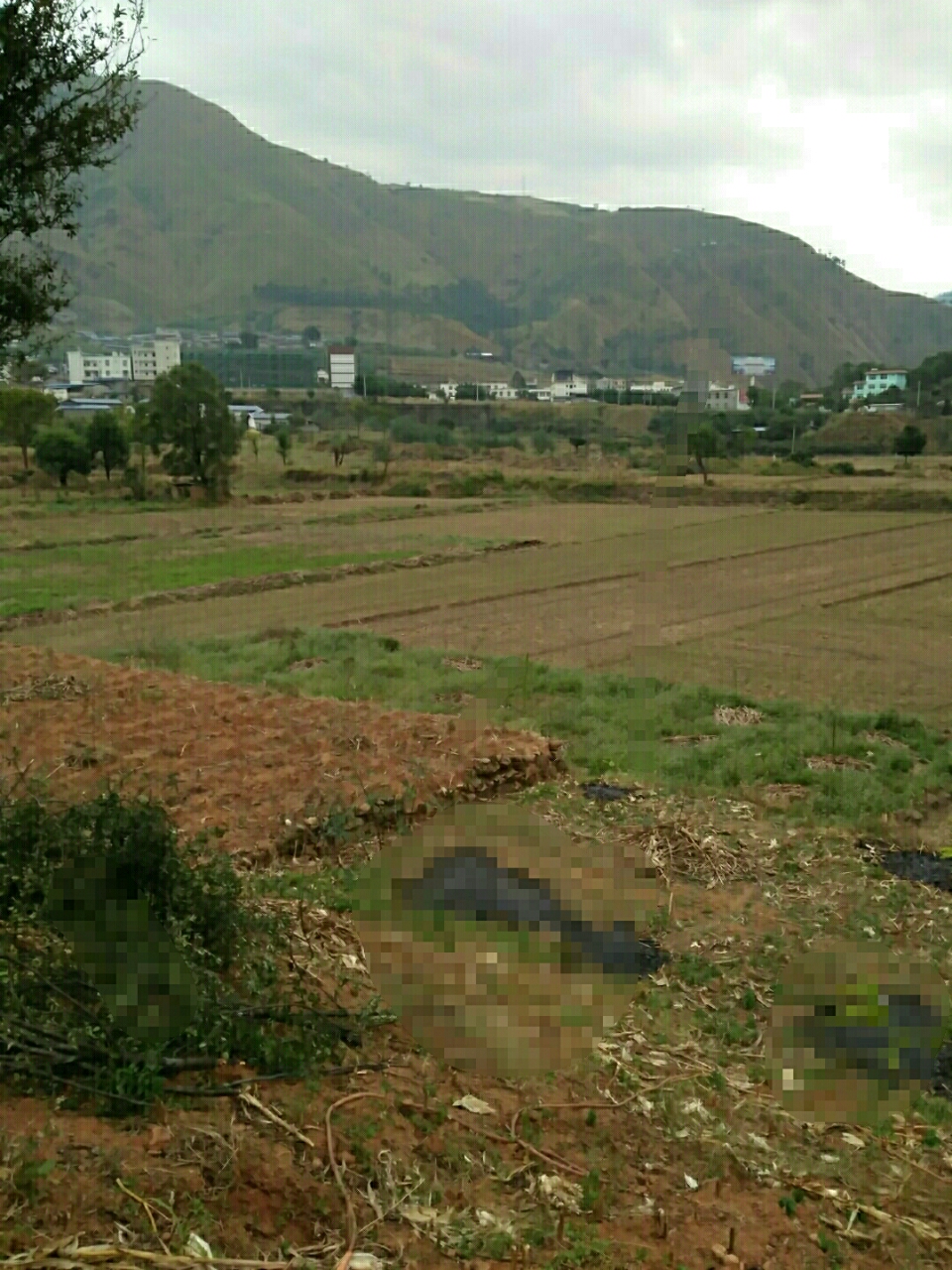 我是四川省凉山州盐源县金河乡温泉村村民。凉山州是最后一个土地确权的在今年8月底就全部结束。