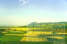 海东互助土族自治县 6亩 旱地 经营权出租