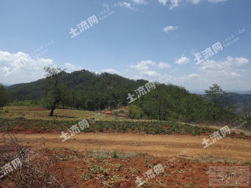 云南昆明宜良县400亩转让(2)