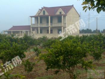 上海市崇明縣長興島宅基地做農家樂養(yǎng)老房