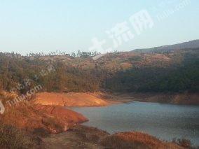 楚雄武定县 200亩 农场 使用权出租