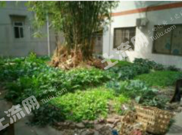 番禺石碁茶东村83m&sup2;宅基地43万