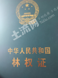 吕梁岚县 550亩 灌木林地 经营权转让