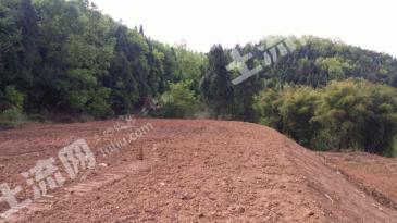 绵阳游仙区 30亩 坑塘水面 经营权转让