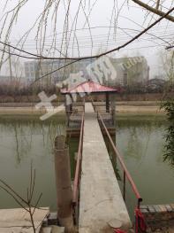 市区内4亩多高、平钓鱼池使用权出租XX455