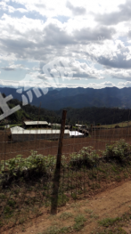 怒江兰坪白族普米族自治县 4000亩 天然牧草地 经营权合作