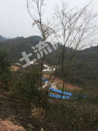 出租220亩荒山