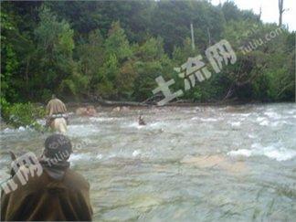 智利 大面积土地 出售 Chile real estate land 65