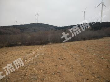 铁岭调兵山市 40亩 荒山 出租