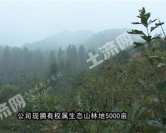 河南省桐柏县5000亩土地转让待开发