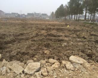 嘉興海鹽縣 100平米 宅基地 使用權出租