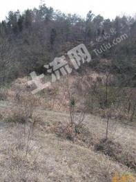 編號(hào)SN502南效一宅基地帶魚塘使用權(quán)出租