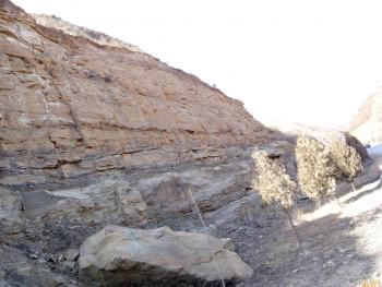 延安延长县250亩山地林地