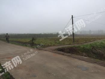 湖南岳阳华容县160亩耕地经营权出租