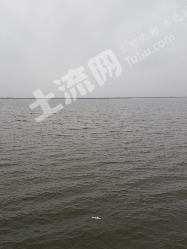 绥化北林区 100亩 荒地 出租