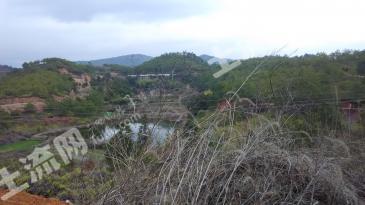 龙岩连城县 1400亩 有林地 转让