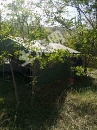 天水武山县 800亩 有林地 经营权转包